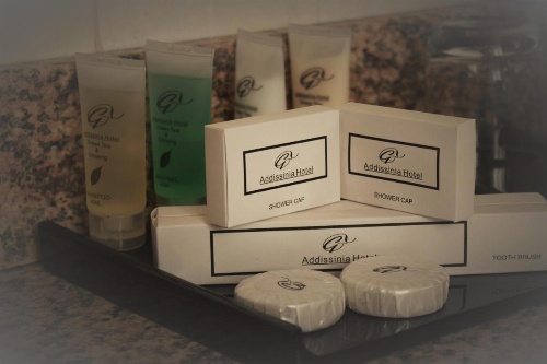 Addissinia Hotel image 17