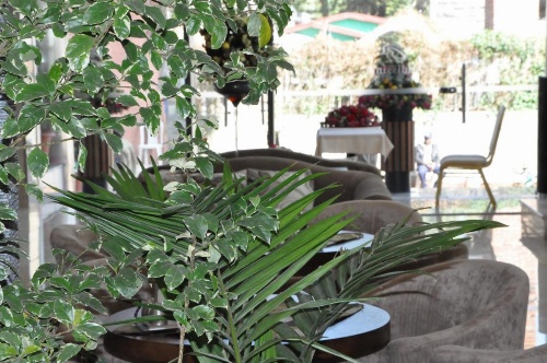 Addissinia Hotel image 37